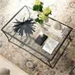 J&D Designs Co Kai Transitional Metal & Glass Coffee Table in Black/Clear