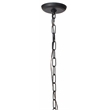 J&D Designs Co Blooming Iron Chandelier in Black