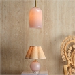 J&D Designs Co Holt 1-Light Glass Pendant Pink
