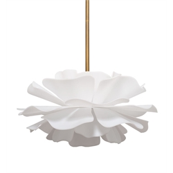 Ceiling Lighting