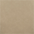 Vina Taupe Vegan Leather Dining Chair