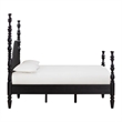 Rosalie Black Ash Queen Bed