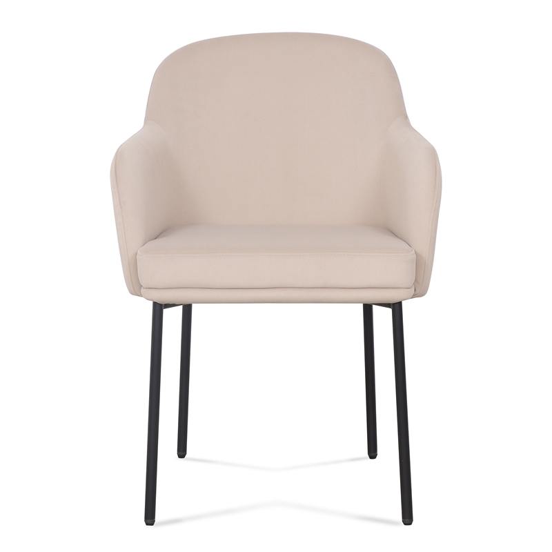 Sydney Taupe Performance Velvet Armchair Set of 2