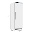 12 Cu ft Commercial Reach in Freezer in White Manual Defrost
