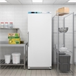 21 Cu ft Commercial Reach-in Freezer in White Manual Defrost