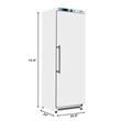 12 Cu ft Commercial Reach in Refrigerator in White - Manual Defrost
