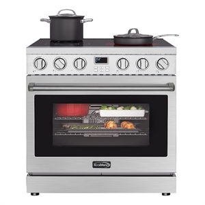 36 in. Professional Electric Range in Stainless-Steel