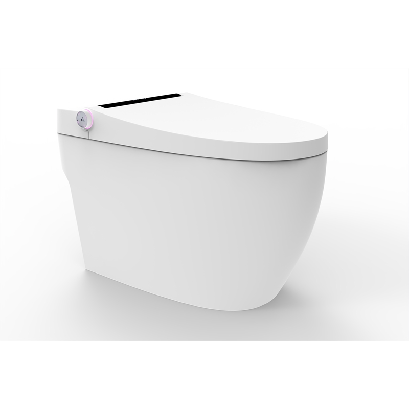 Angeles Modern Ceramic White Smart Toilet with Bidet and Digital Display