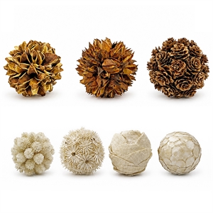 Preserved Botanical Decorative Topiary Balls Filler Brown/White (Set of 7)