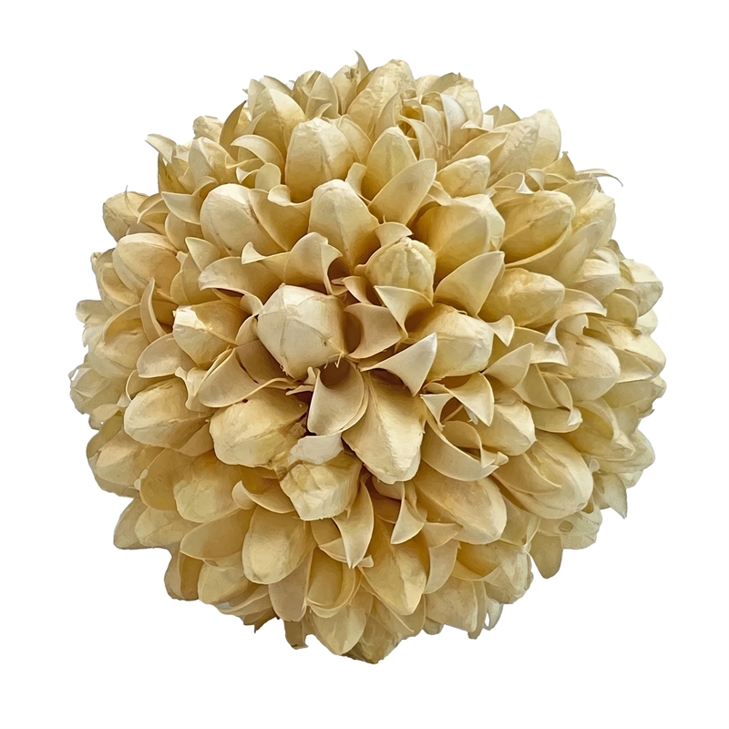 Purple and White Natural Preserved Topiary Balls Decorative Bowl Filler Set of 7