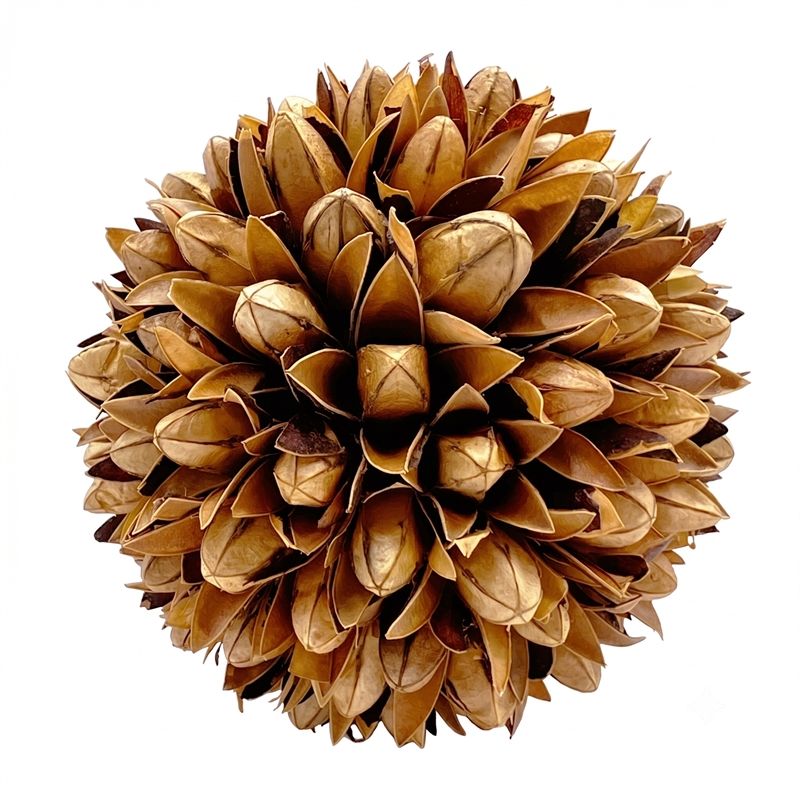 Purple and Brown Natural Preserved Topiary Balls Decorative Bowl Filler Set of 9
