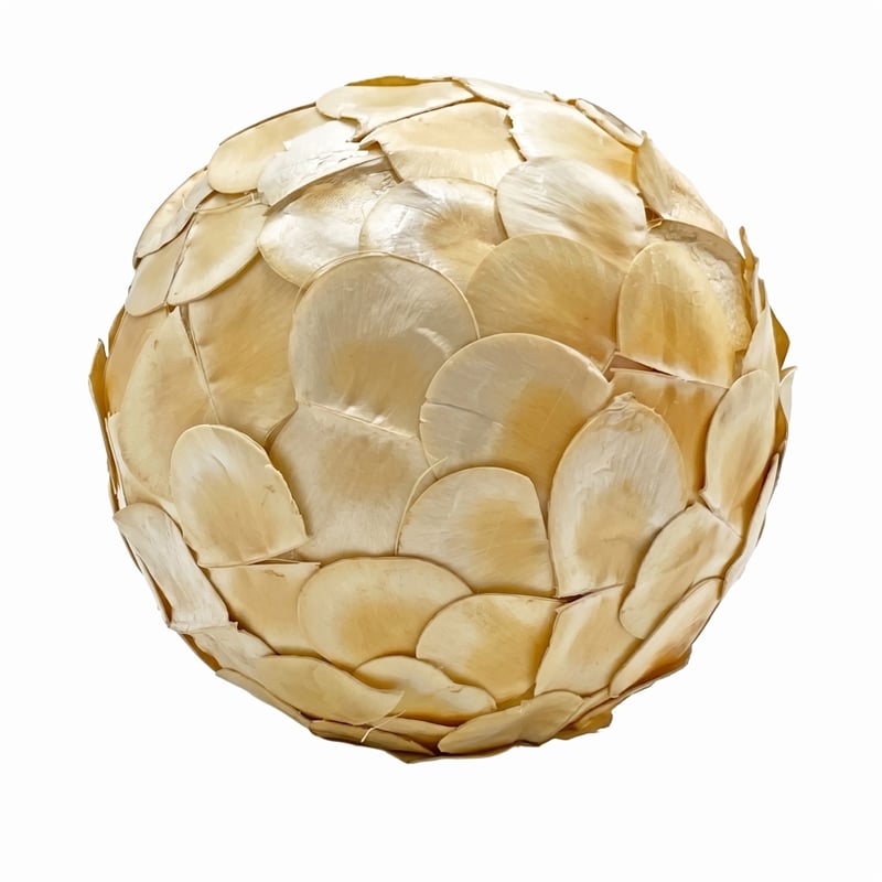White Brown Green Natural Preserved Topiary Balls Bowl Filler Set of 10