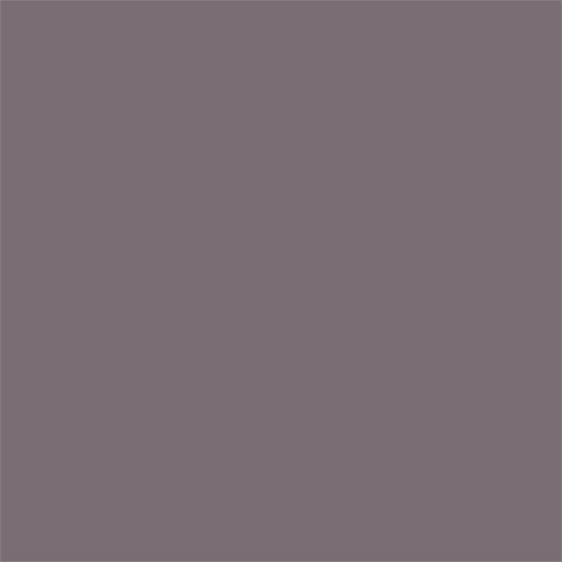 Eden Home Contemporary Saddle Leather Arm Chair in Gray (Set of 2)