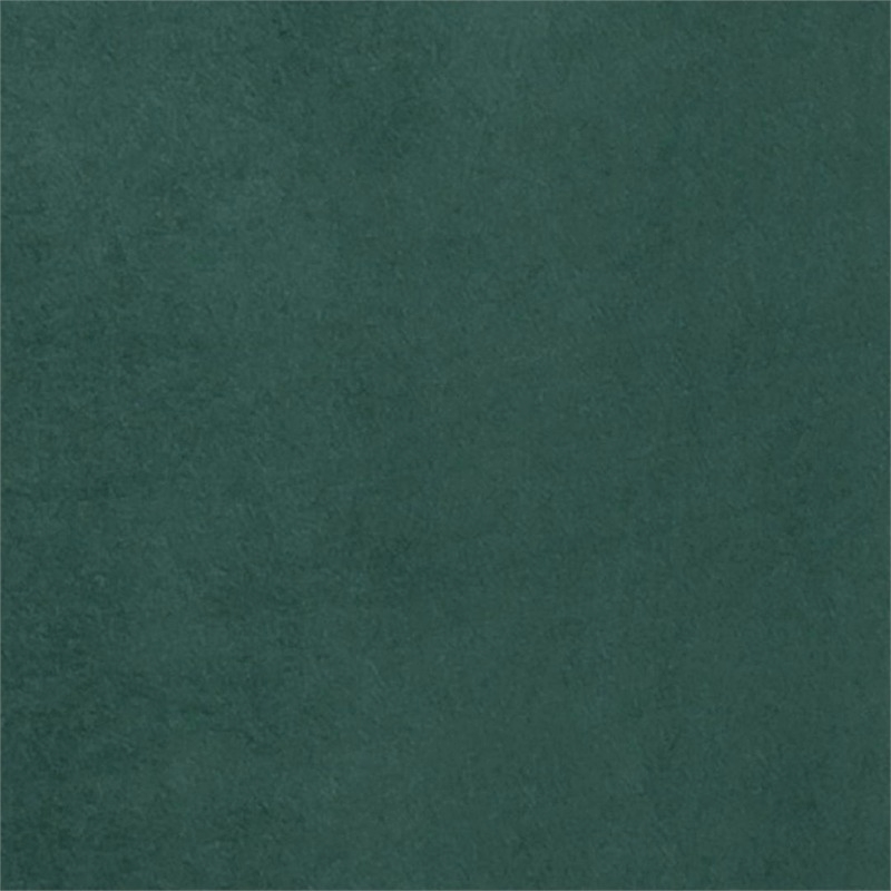 Eden Home Contemporary Velvet & Metal Accent Chair in Green/Gold (Set of 2)