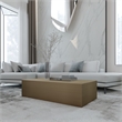 Eden Home Modern Rectangular Metal Coffee Table in Brushed Brass Finish