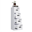 Gangmei 4 Drawer Vertical File Cabinet Metal Office Files Storage Cabinet