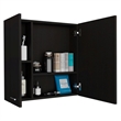 FM FURNITURE Kenya Engineered Wood Medicine Cabinet One Door in Black
