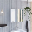 FM FURNITURE Kenya Engineered Wood Medicine Mirrored Cabinet in White