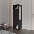 FM FURNITURE Summit Engineered Wood and Melamine with Mirror-Door Wardrobe Black