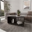 FM FURNITURE Gu Oidak Coffee with Storage Engineered Wood Caster Wheels Wengue