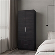 FM FURNITURE Forest 2 Door Wardrobe with Hanging Rod and 2 Drawers Wengue
