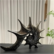 Conch Black Sculpture - Artistic Polyresin Mediterranean Style Desktop