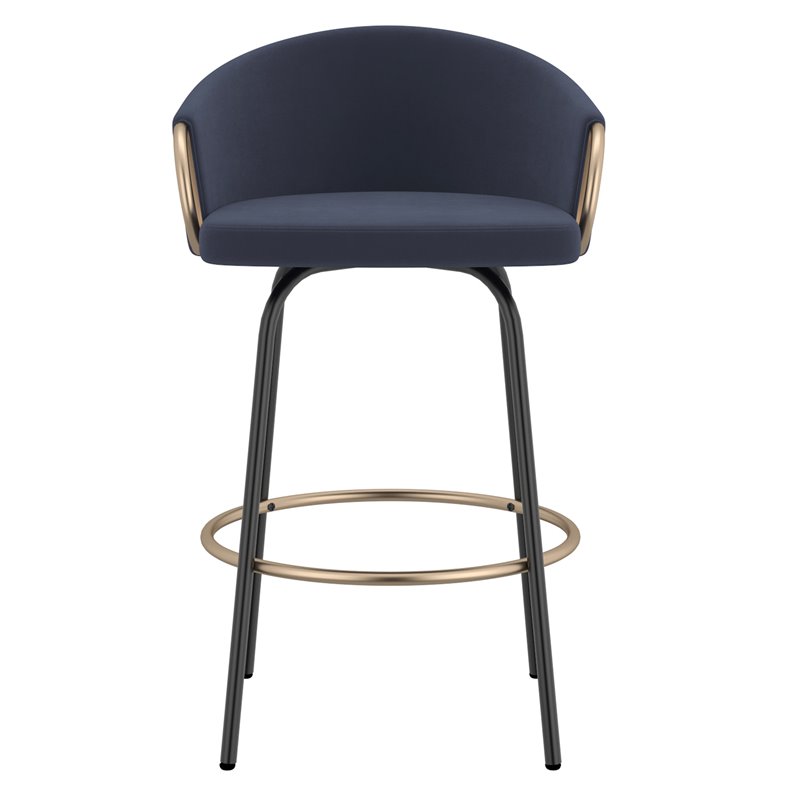Contemporary Velvet and Metal 26