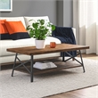 Finch Ezra Solid Wood and Metal Coffee Table Walnut Brown