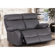 Alexent Leather Recliner Loveseat Power Lift Reclining Sofa Theater Seating Gray