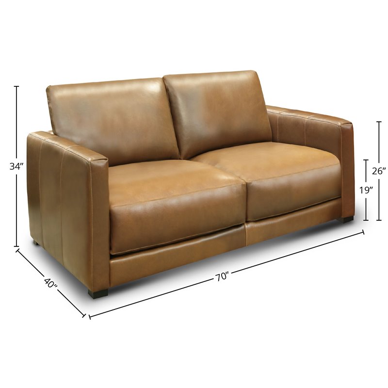 Hello Sofa Home Raffa Contemporary Top Grain Leather Loveseat in Brown