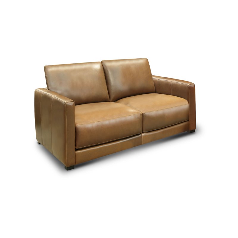 Hello Sofa Home Raffa Contemporary Top Grain Leather Loveseat in Brown