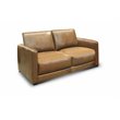 Hello Sofa Home Raffa Contemporary Top Grain Leather Loveseat in Brown