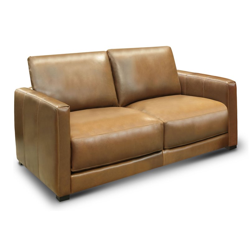 Hello Sofa Home Raffa Contemporary Top Grain Leather Loveseat in Brown