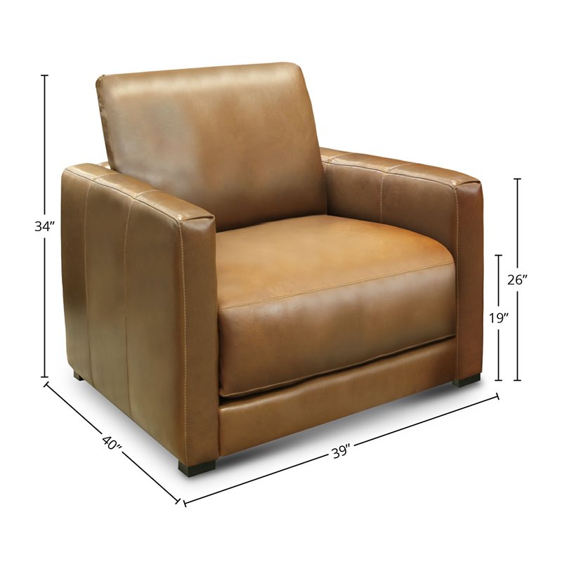 Hello Sofa Home Raffa Contemporary Top Grain Leather Club Armchair in Brown