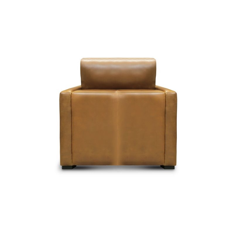 Hello Sofa Home Raffa Contemporary Top Grain Leather Club Armchair in Brown