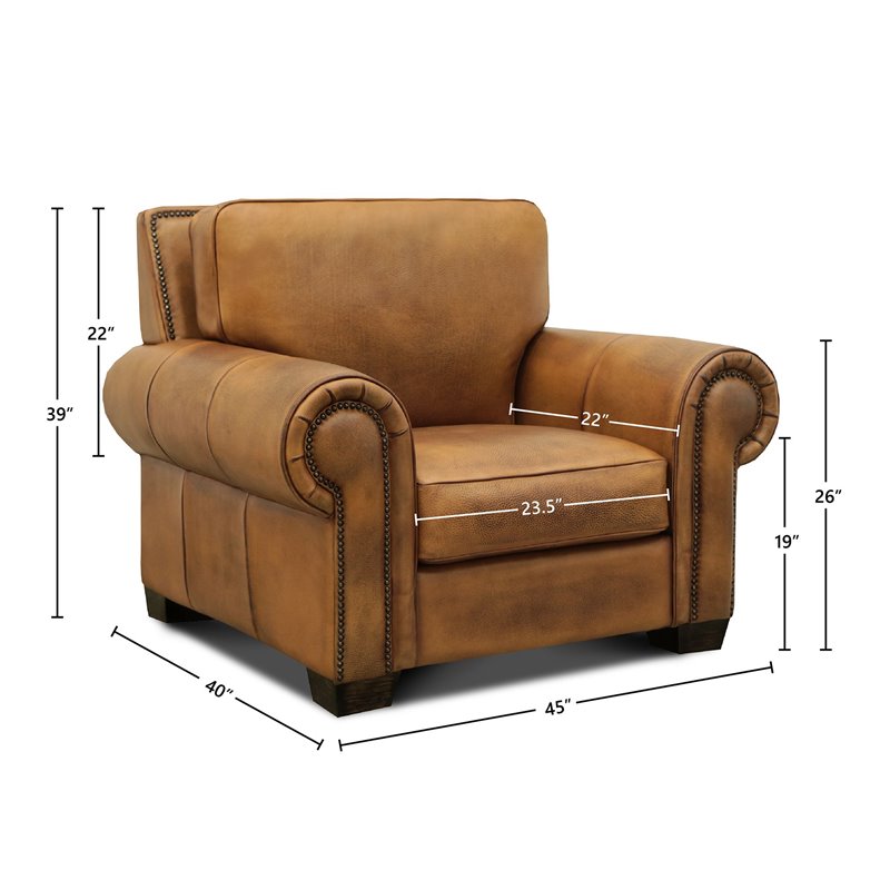 Hello Sofa Home Valencia Top Grain Hand Antiqued Leather Armchair in Tan