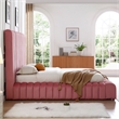 Avalon Velvet Upholstered Queen Platform Bed in Pink