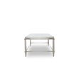 Modrest Agar Modern Stainless Steel & Glass Coffee Table in Silver
