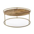 Modrest Gilcrest Faux Marble & Stainless Steel Coffee Table in Brown/Gold