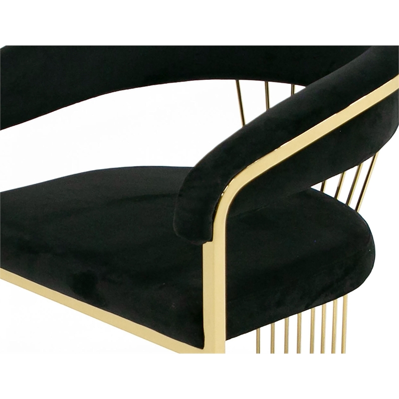 Modrest Linda Upholstered Modern Velvet Dining Chair in Black/Gold