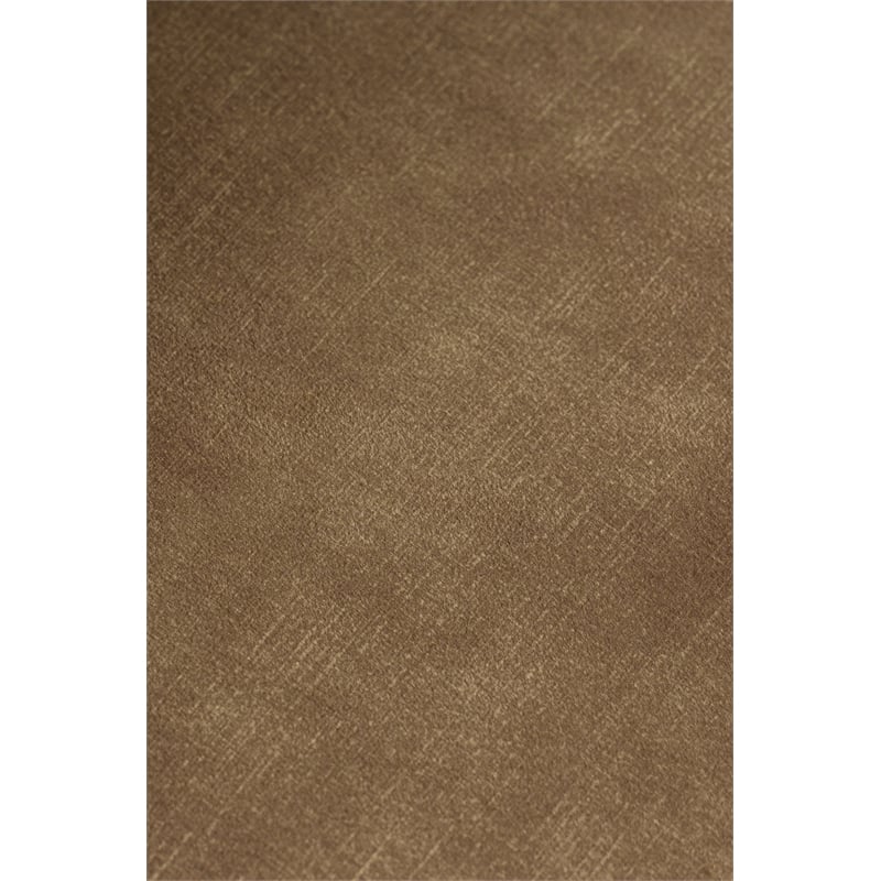 Ditka - Modern Camel Velvet Dining Chair (Set of 2)