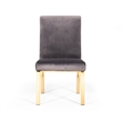 Reba Modern Grey Velvet & Gold Dining Chair (Set of 2)