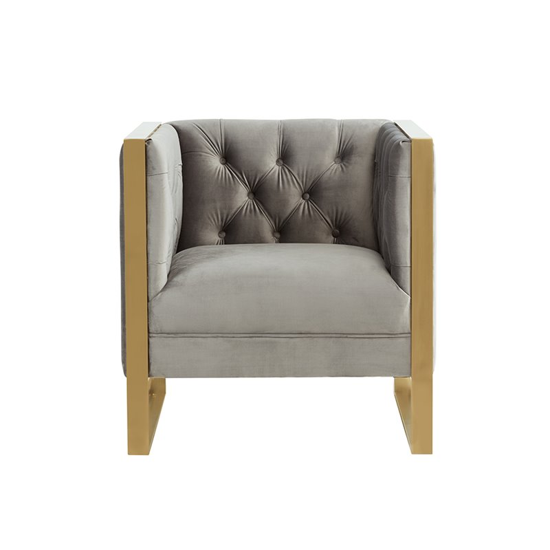 Divani Casa Carlos Modern Velvet & Stainless Steel Accent Chair in Gray/Gold