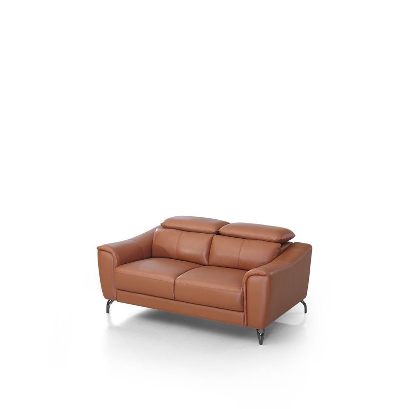 Divani Casa Danis Adjustable Headrest Modern Metal and Leather Loveseat in Brown