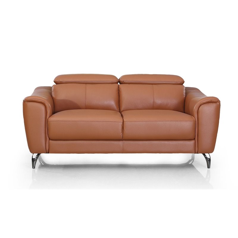 Divani Casa Danis Adjustable Headrest Modern Metal and Leather Loveseat in Brown