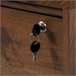 Homesphere Furniture Engineered Wood Lateral File Cabinet in Grand Walnut