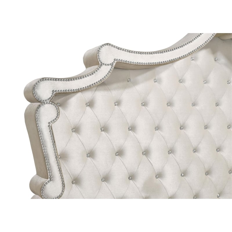 Homesphere Furniture Upholstered Velvet Eastern King Bed in Ivory and Camel