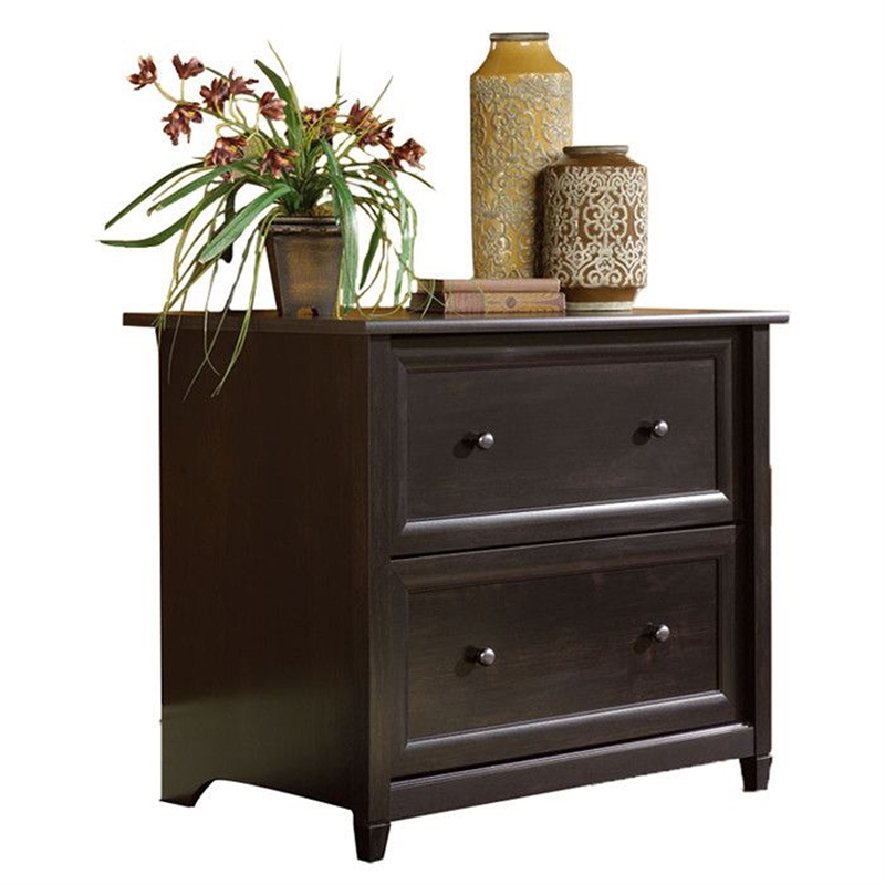 Homesphere Furniture Engineered Wood 2-Drawer File Cabinet in Black