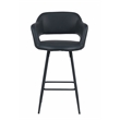 Kymberlynn Faux Leather Counter Stool With Metal legs (Set of 2) In Black