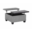 Brant House Aldo Fabric Storage Ottoman with Lift Top in Light Gray